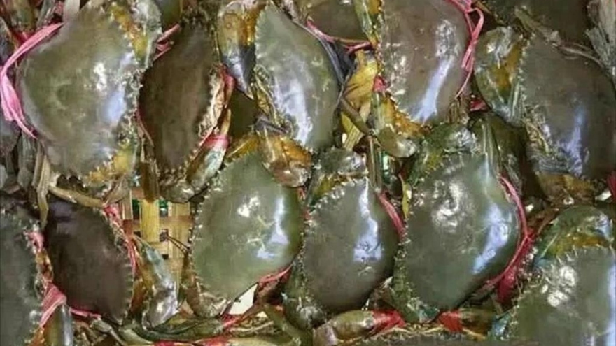 Five-month crab exports to China skyrocket by 502%